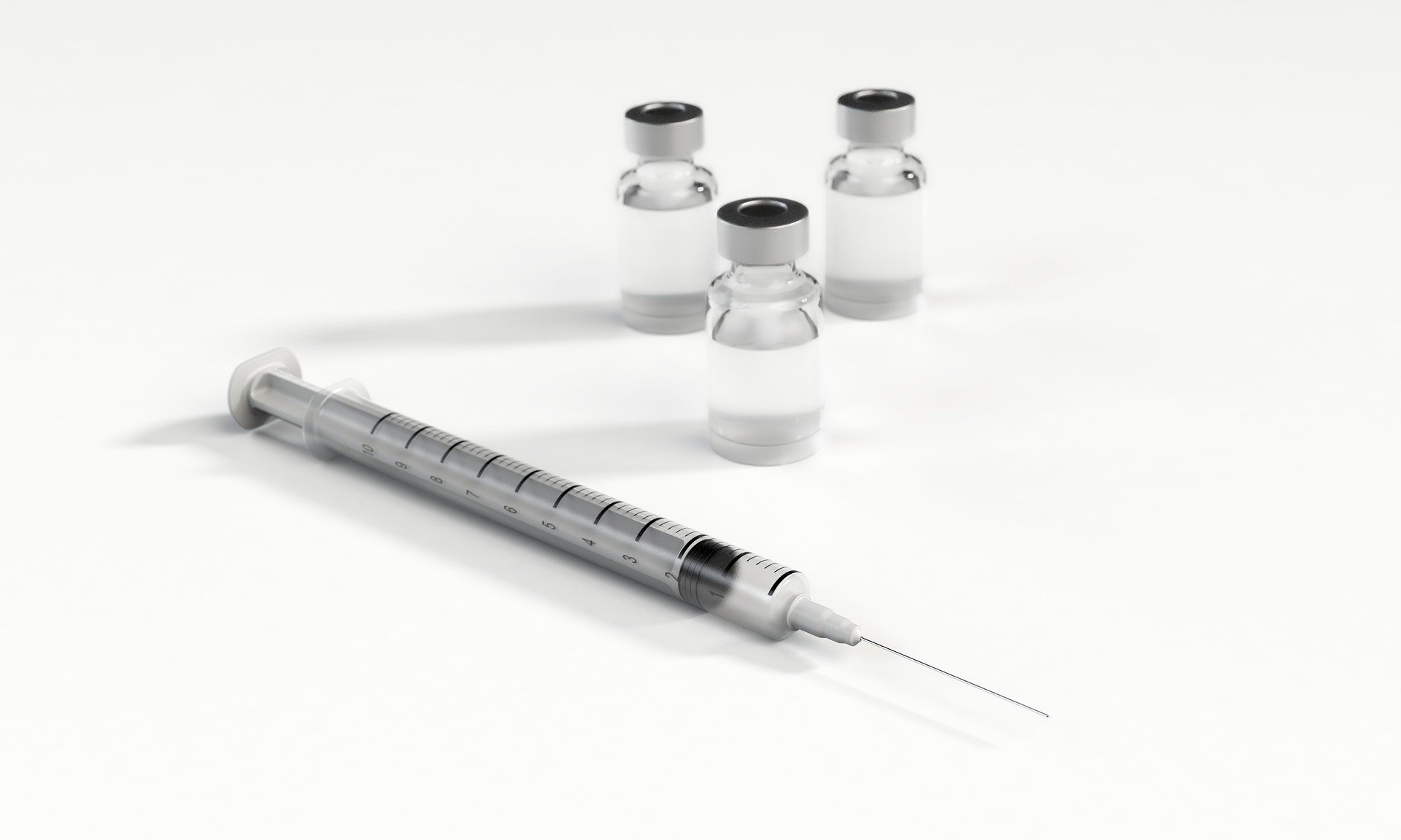 vaccination chien
